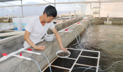 佛山西南街道水產養殖專業鎮:龍頭引領,聚焦&ldquo;智慧漁芯&rdquo;平臺