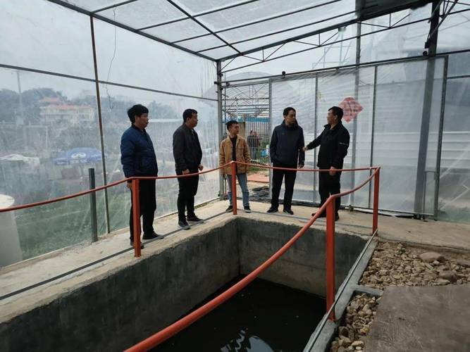 水產養殖尾水達標排放,省水技總站專家組團來南調研_治理_企業_技術