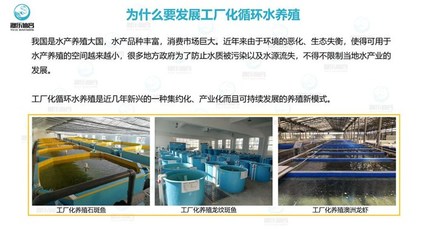 工廠化養(yǎng)魚
