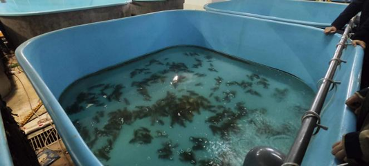 新征程再奮斗,新疆吉木乃調研學習拓視野