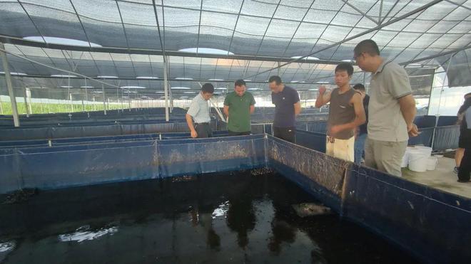 技術(shù)大拿間的&ldquo;夢幻聯(lián)動&rdquo;!海之味與集美大學(xué)水產(chǎn)學(xué)院達成戰(zhàn)略合作,開啟牛蛙技術(shù)研發(fā)新篇章