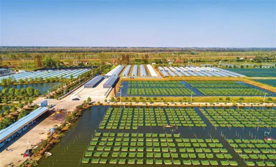 解讀發(fā)展加速度 | 3個(gè)關(guān)鍵詞,讀懂湖北農(nóng)業(yè)三季度答卷