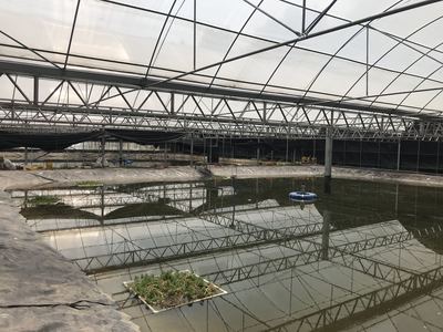 協(xié)會前往簡陽市大眾養(yǎng)殖有限責(zé)任公司考察調(diào)研