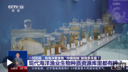 向海洋要食物,&ldquo;中國飯碗&rdquo;會有多豐富?建設(shè)&ldquo;藍(lán)色糧倉&rdquo;我們這么干