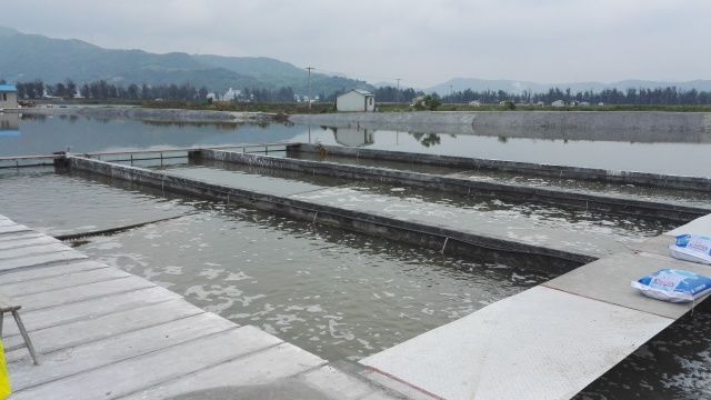 關注 | 還記得讓天敵共存的&ldquo;共享池塘&rdquo;嗎?這項養殖&ldquo;黑科技&rdquo;入選省重點研發計劃項目啦!