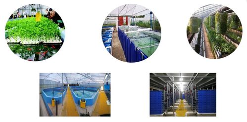 水產養殖博覽會新亮點呈現