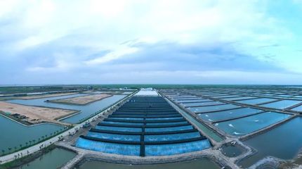 光合蟹業(yè)成功入選首批&ldquo;全國水產(chǎn)技術(shù)推廣人員培訓(xùn)基地&rdquo;名單