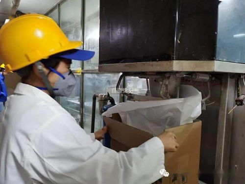 疫情之下逆勢突圍 企業(yè)擴大外貿(mào)帶動就業(yè)