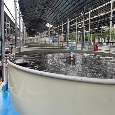 環(huán)控-高密度生態(tài)水產(chǎn)養(yǎng)殖項(xiàng)目-智慧工廠化海水養(yǎng)殖-高單產(chǎn)