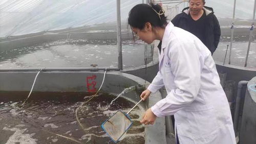 研發新型水產養殖殺菌劑,濟南大學團隊獲 挑戰杯 金獎