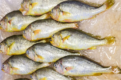 成國(guó)水產(chǎn)