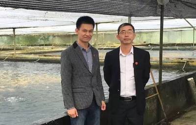 獨辟蹊徑瞄準錦鯉飼料 江門新健飼料擠進全國前五名_飼料專題(水產飼料)_中國水產養殖網
