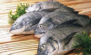 水產(chǎn)品中應(yīng)檢測哪些違規(guī)藥品