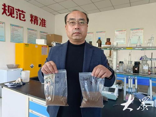 新型飼料助力養(yǎng)殖成本降低，農(nóng)家樂(lè)休閑觀(guān)光服務(wù)展現(xiàn)農(nóng)業(yè)新動(dòng)能