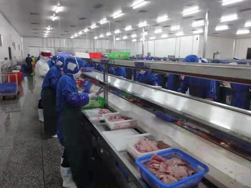 化州全力推動(dòng)羅非魚(yú)產(chǎn)業(yè)由大市轉(zhuǎn)向強(qiáng)市，助力農(nóng)家樂(lè)休閑觀(guān)光服務(wù)升級(jí)