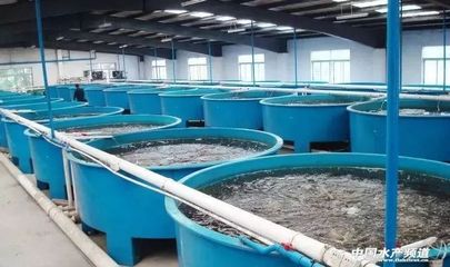我國(guó)工廠化水產(chǎn)養(yǎng)殖發(fā)展與思考