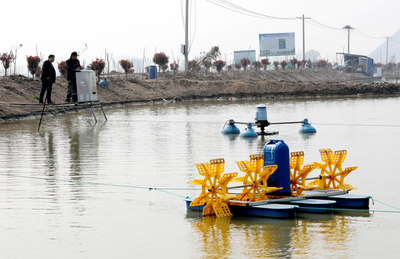 淮北水產(chǎn)養(yǎng)殖產(chǎn)業(yè)發(fā)展現(xiàn)狀與未來展望